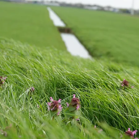 Mooi Prachtig Gelegen Aan Het Water *