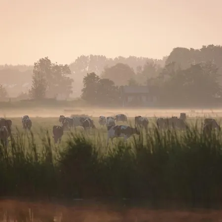 Mooi Prachtig Gelegen Aan Het Water *