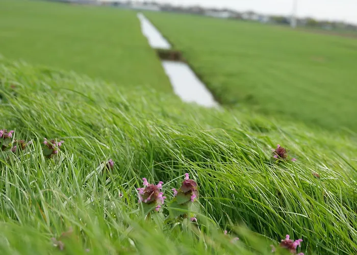 Mooi Prachtig Gelegen Aan Het Water *
